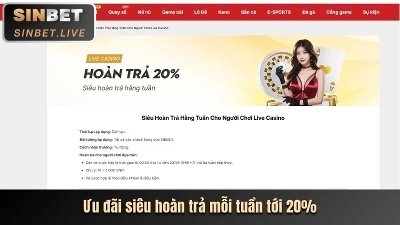 Top 10 lý do chọn dbet